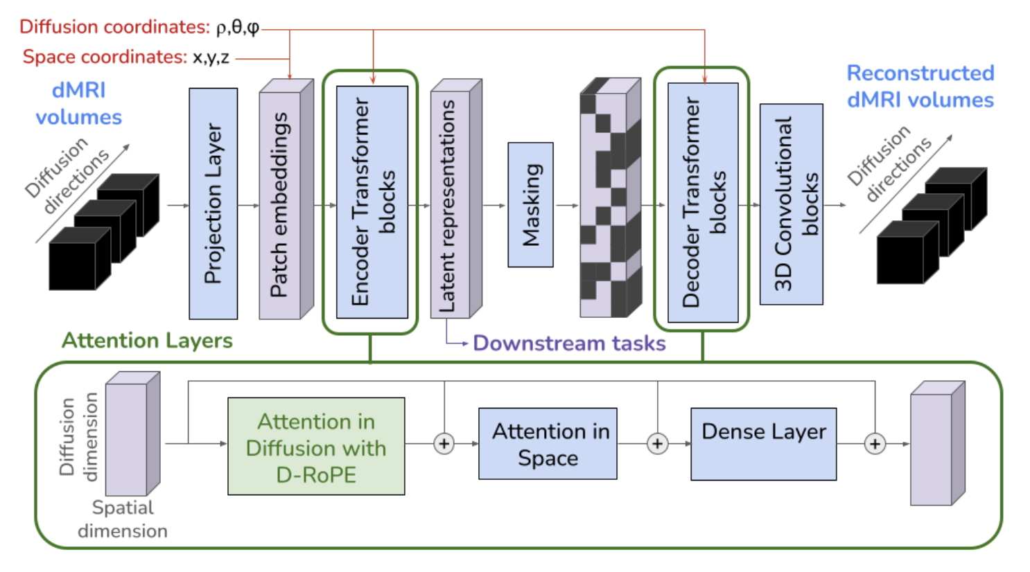 Figure 1 from the D-RoPE paper